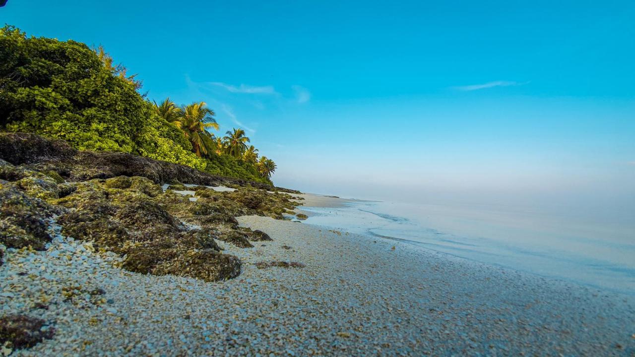 New Breeze Thoddoo Inn Экстерьер фото